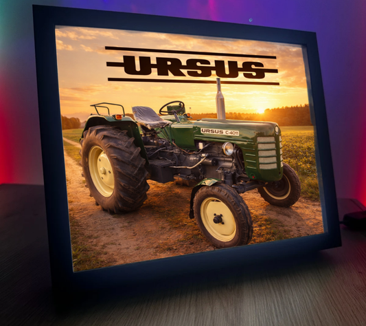 ObrazoLampka RL Ursus 5