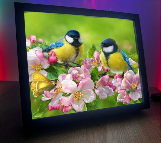 Obrazolampka Sikorki 1