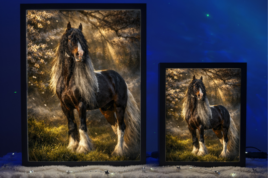 ObrazoLampka Prezent Koń Koniki Horse 7