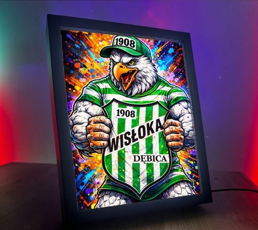 Obrazo Lampka Wisłoka Dębica 2