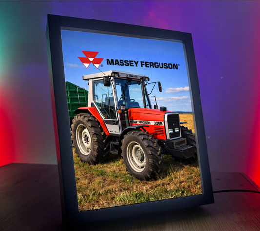 ObrazoLampka RL Massey Ferguson 3065 2