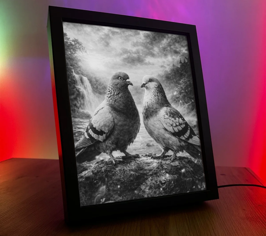 Obrazolampka Gołębie 1