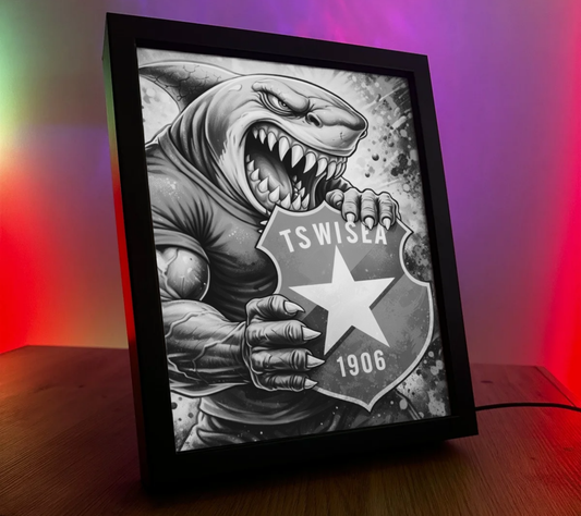 Obrazo Lampka Wisła Kraków 4