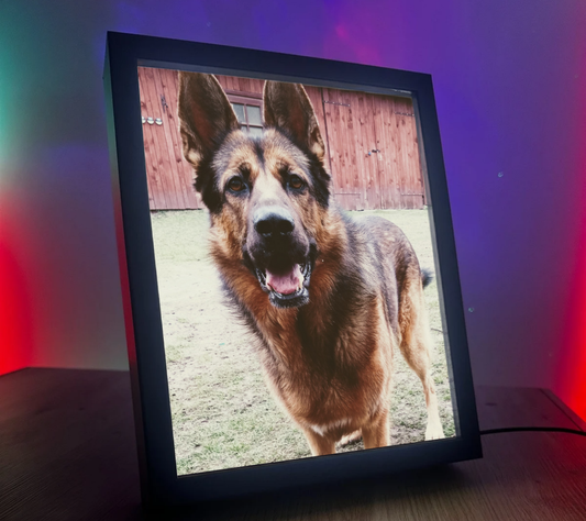 Obrazolampka indywidualna piesek