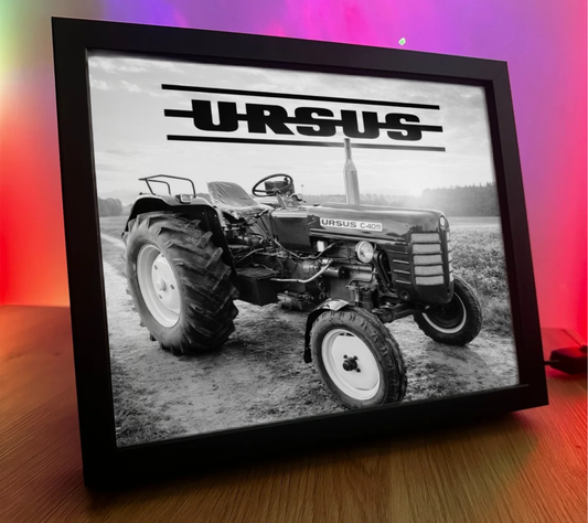ObrazoLampka RL Ursus 5