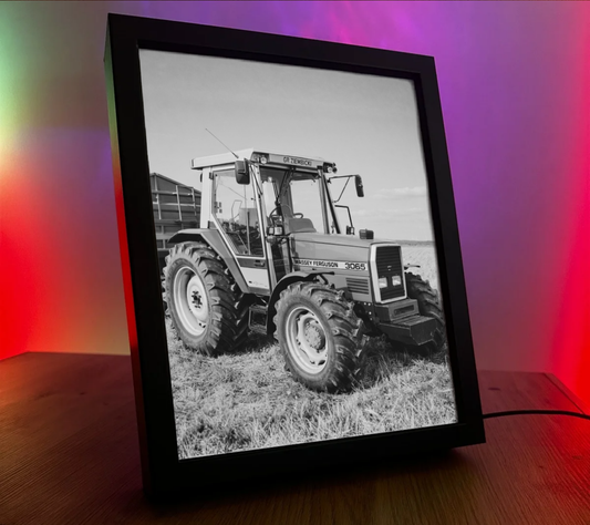 ObrazoLampka RL Massey Ferguson 3065 1