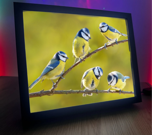 Obrazolampka Sikorki 2