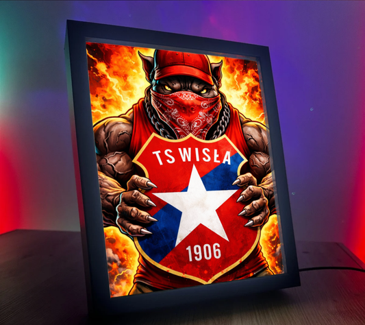 Obrazo Lampka Wisła Kraków 6