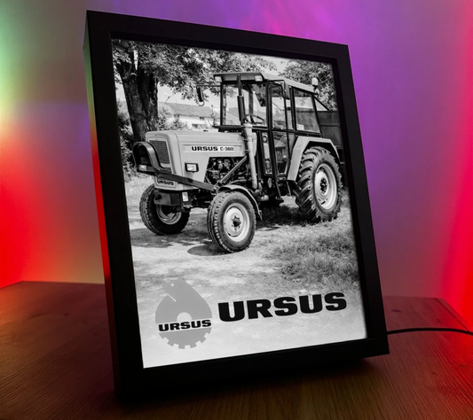 ObrazoLampka RL Ursus 3