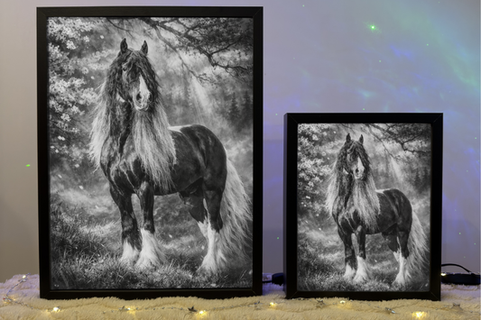 ObrazoLampka Prezent Koń Koniki Horse 7