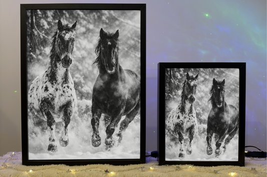 ObrazoLampka Prezent Koń Koniki Horse 9
