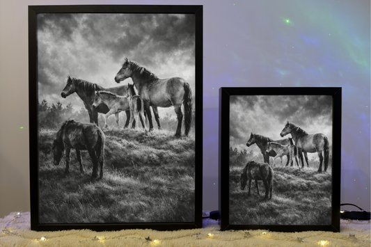 ObrazoLampka Prezent Koń Koniki Horse 12