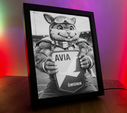 Obrazo Lampka Avia Świdnik 2