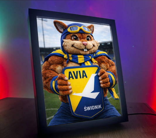 Obrazo Lampka Avia Świdnik 2