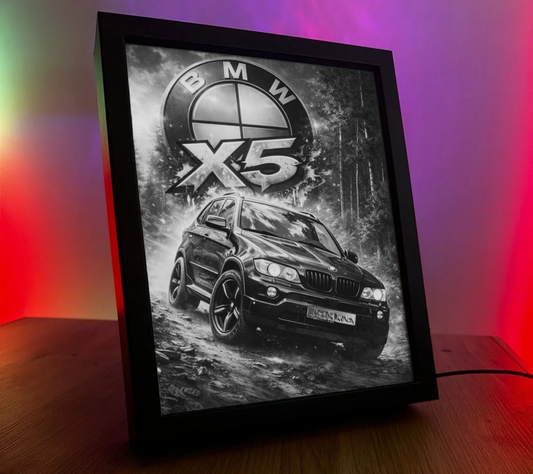 ObrazoLampka BMW X5 E53 Zapytanie 26