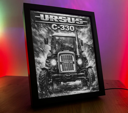ObrazoLampka Ursus 5